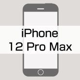 iPhone12promax